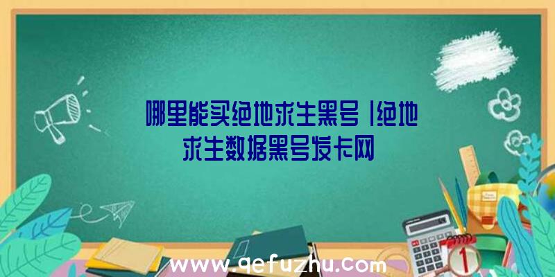 「哪里能买绝地求生黑号」|绝地求生数据黑号发卡网